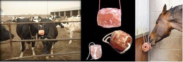 Himalayan Pink Salt Lick
