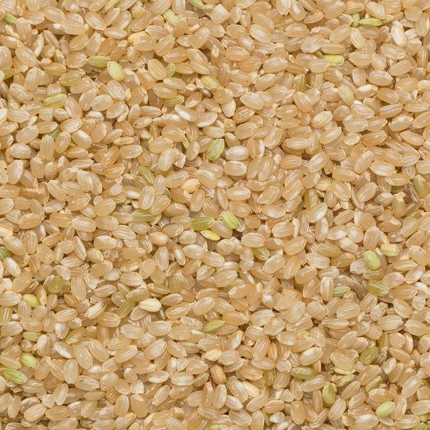 Short Grain Brown Rice