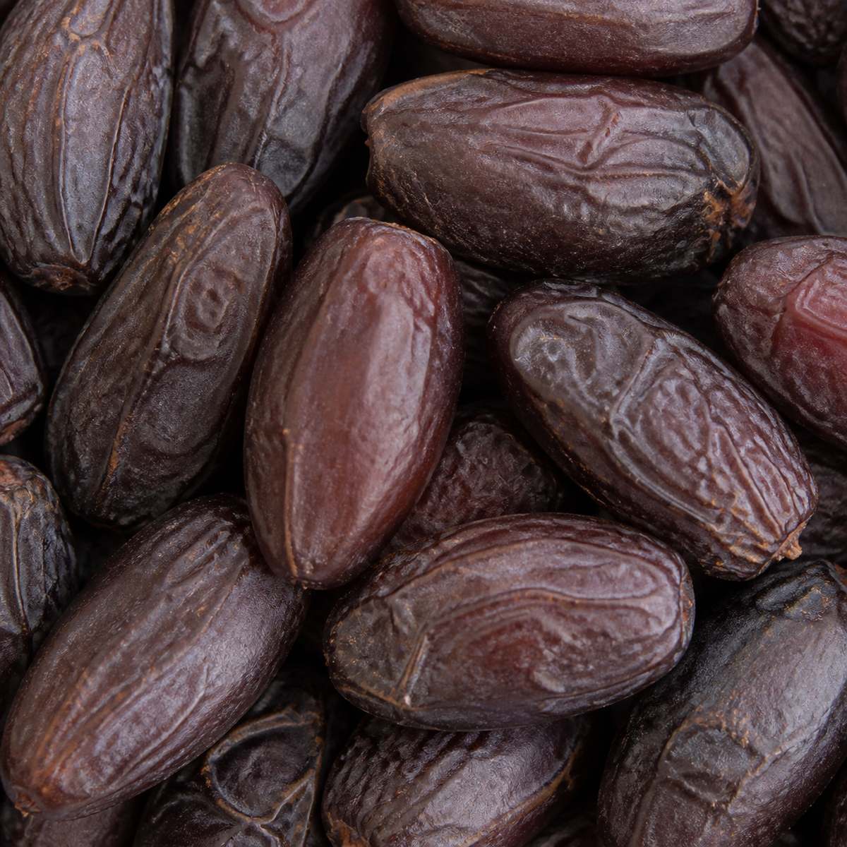 Zaytoun Medjool Dates Gift Box